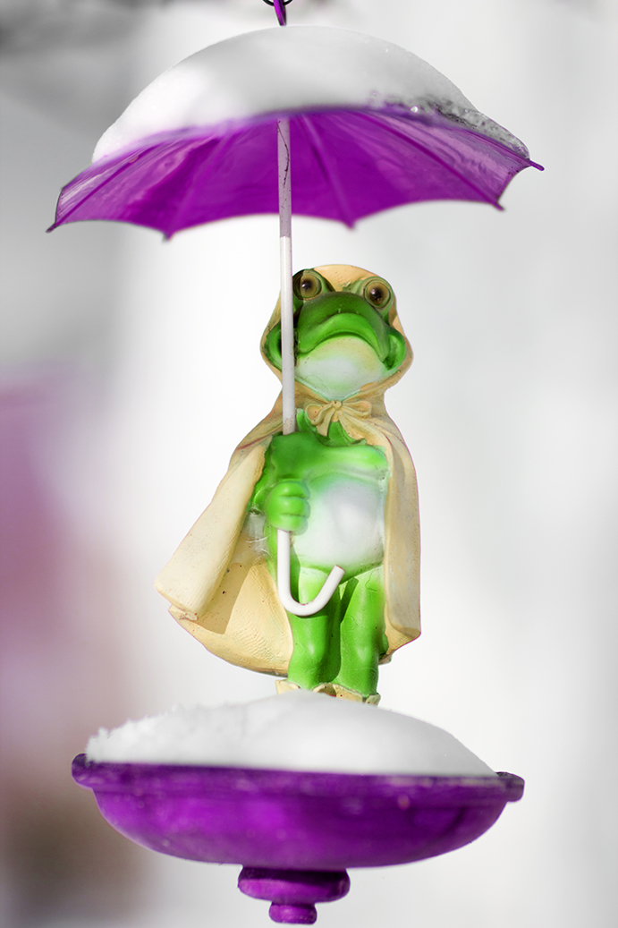 Frog Umbrella Fun